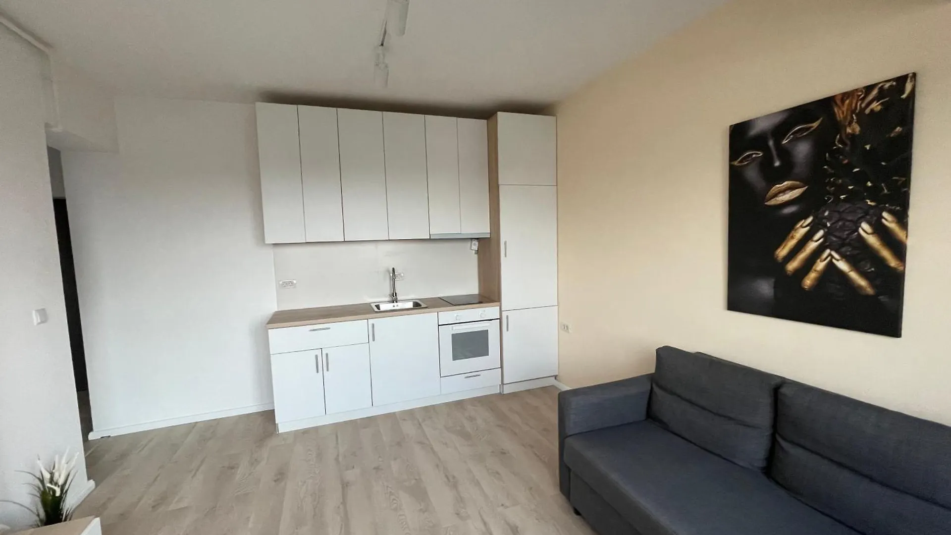 Exquisite Apartment Bucharest
